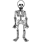 Skeleton with Spinning Skull